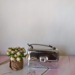 Cartera plateada